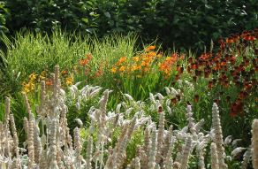 landscape design & assessment